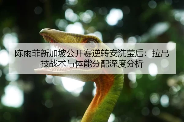 陈雨菲新加坡公开赛逆转安洗莹后：拉吊技战术与体能分配深度分析